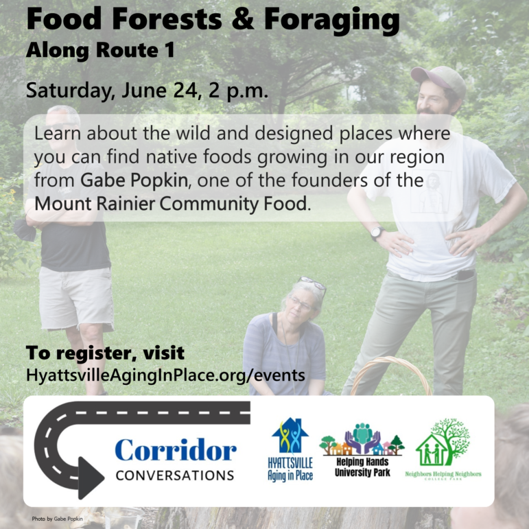 Food Forests & Foraging Along Route 1